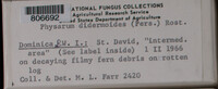 Image Associated With the Occurence